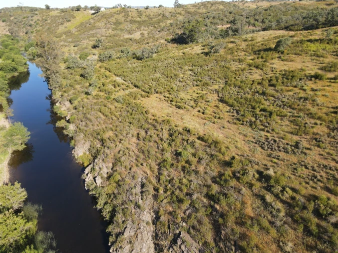 Terreno Agricola ou Rústico para Venda em Ourique Foto 2