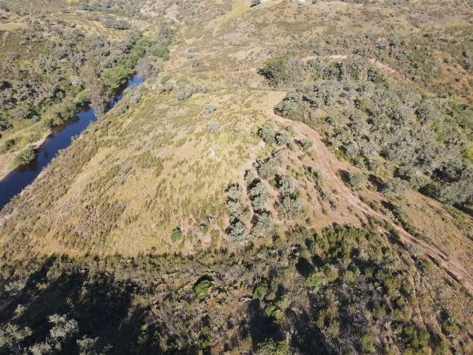 Terreno Agricola ou Rústico para Venda em Ourique Foto 7