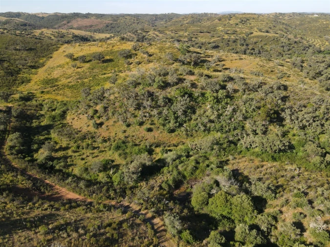 Terreno Agricola ou Rústico para Venda em Ourique Foto 9