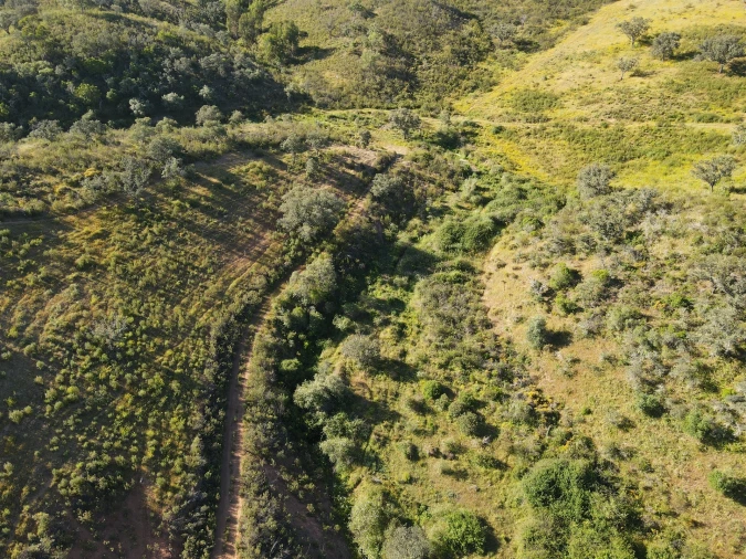 Terreno Agricola ou Rústico para Venda em Ourique Foto 5