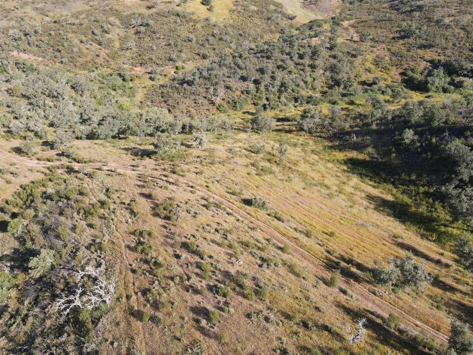 Terreno Agricola ou Rústico para Venda em Ourique Foto 10