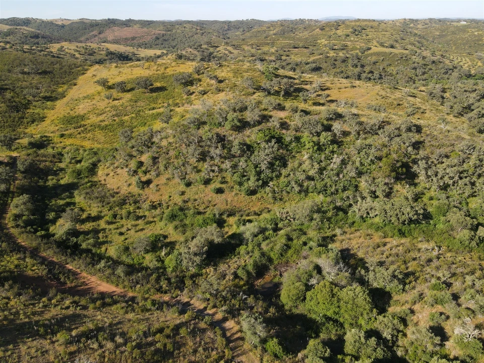 Terreno Agricola ou Rústico para Venda em Ourique Foto 9