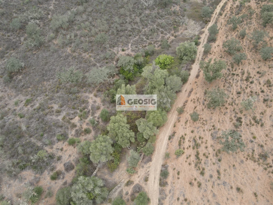 Terreno Agricola ou Rústico para Venda em Ourique Foto 19