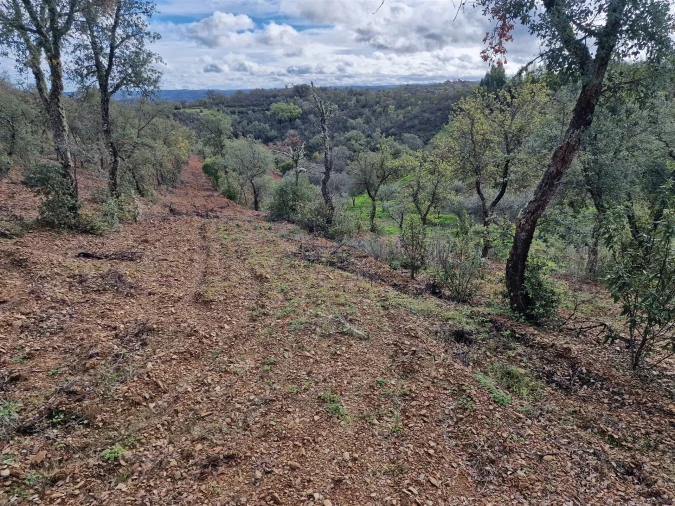 Terreno para Venda em Santa Cruz Foto 2