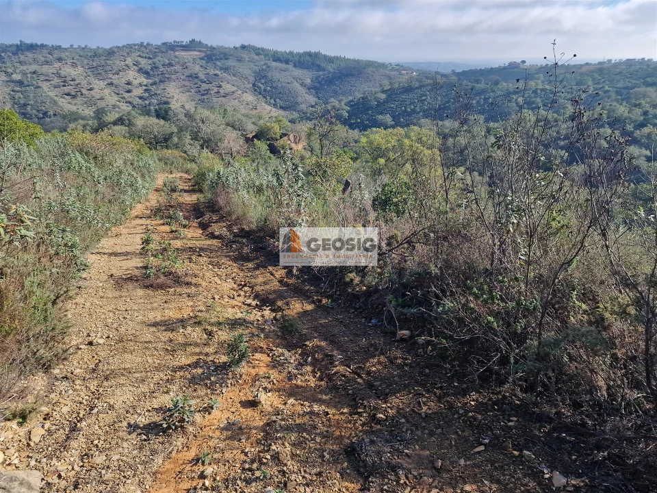 Quinta T0 para Venda em Santa Clara-A-Nova e Gomes Aires Foto 15