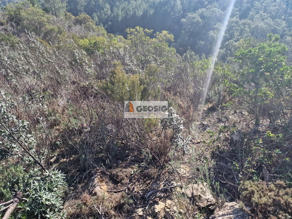 Quinta T0 para Venda em Santa Clara-A-Nova e Gomes Aires Foto 12