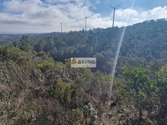 Quinta T0 para Venda em Santa Clara-A-Nova e Gomes Aires Foto 13