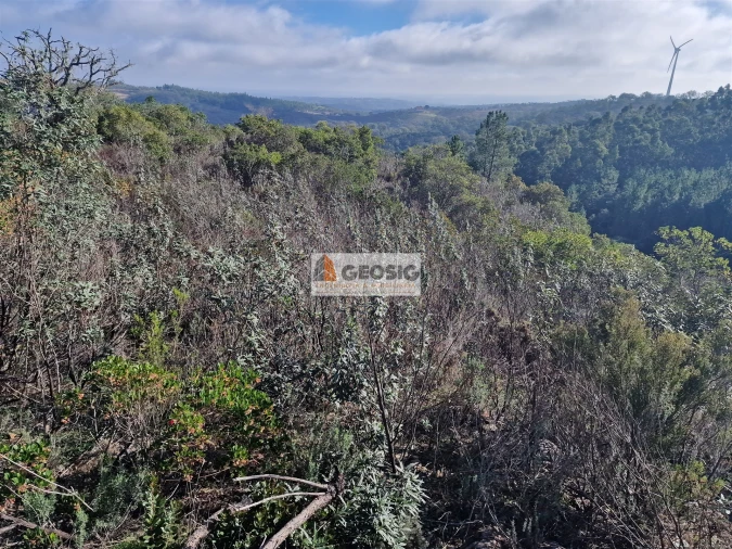 Quinta T0 para Venda em Santa Clara-A-Nova e Gomes Aires Foto 11