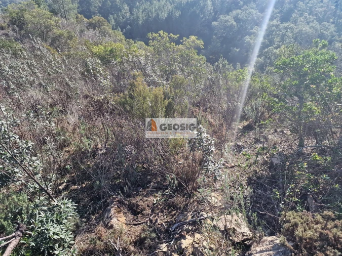 Quinta T0 para Venda em Santa Clara-A-Nova e Gomes Aires Foto 12