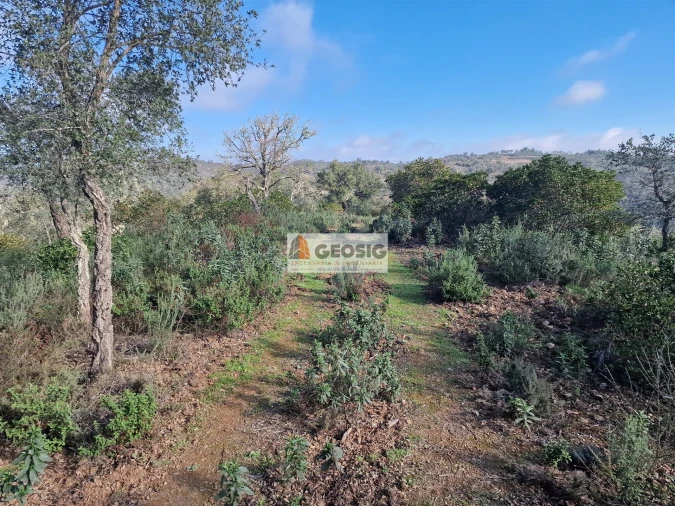 Quinta T0 para Venda em Santa Clara-A-Nova e Gomes Aires Foto 16