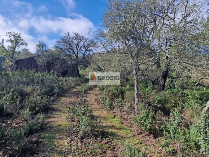 Quinta T0 para Venda em Santa Clara-A-Nova e Gomes Aires Foto 17