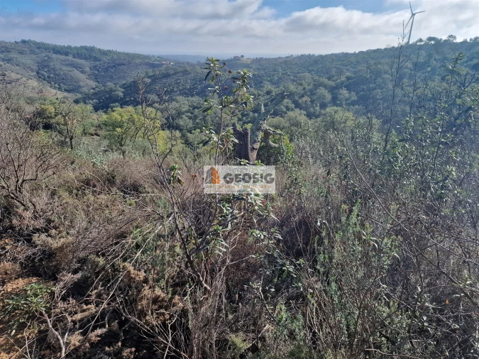 Quinta T0 para Venda em Santa Clara-A-Nova e Gomes Aires Foto 14