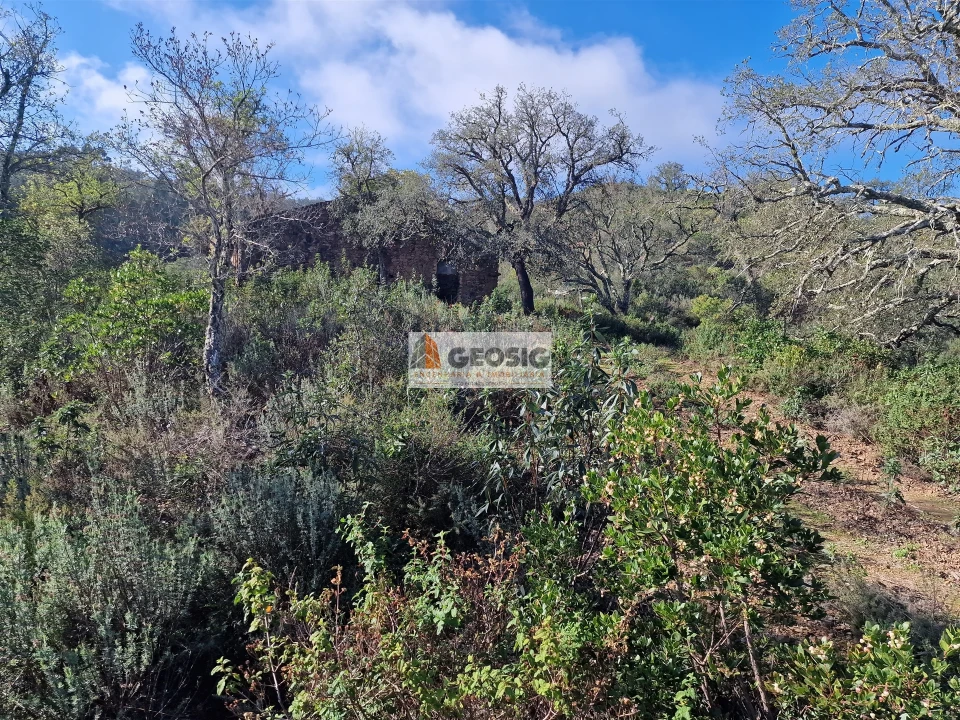 Quinta T0 para Venda em Santa Clara-A-Nova e Gomes Aires Foto 18