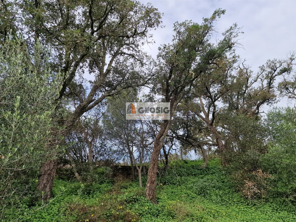 Quinta T2 para Venda em São Barnabe Foto 16