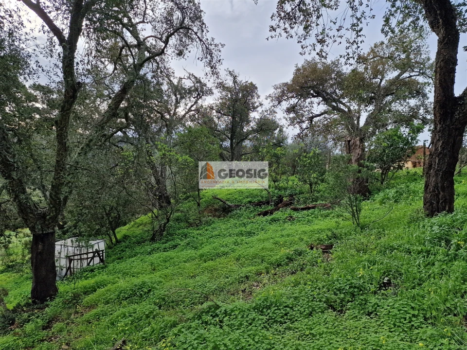 Quinta T2 para Venda em São Barnabe Foto 22