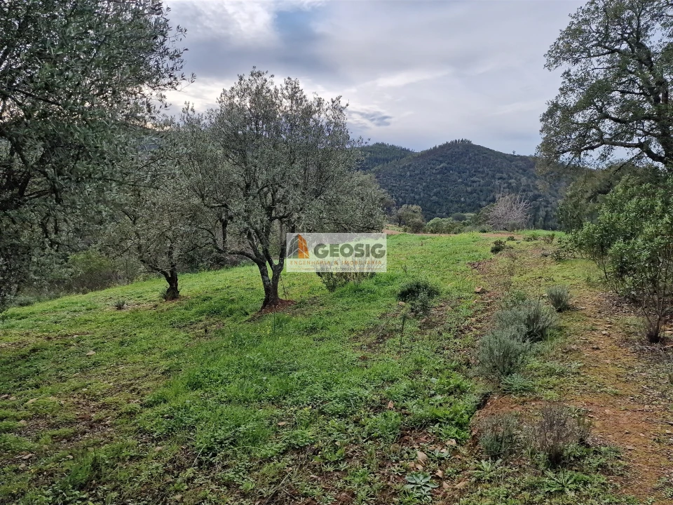 Quinta T2 para Venda em São Barnabe Foto 15