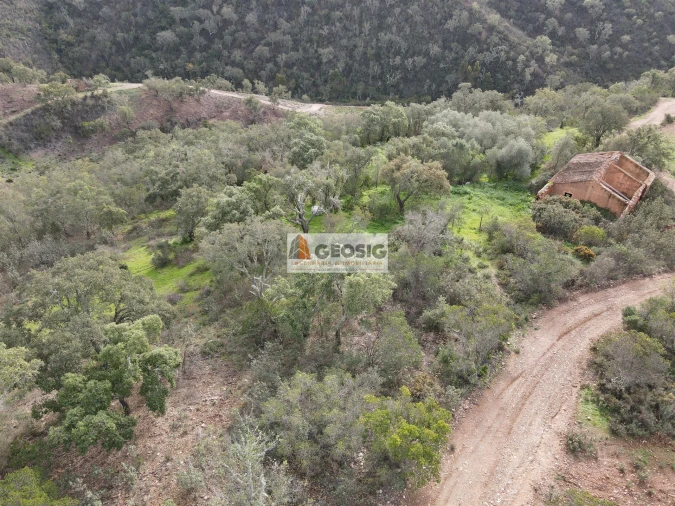 Quinta T2 para Venda em São Barnabe Foto 24