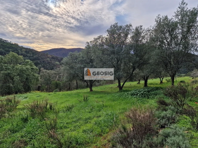 Quinta T2 para Venda em São Barnabe Foto 17