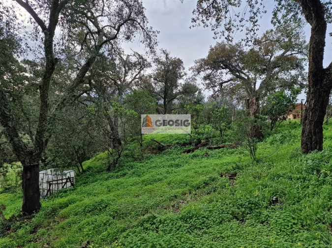 Quinta T2 para Venda em São Barnabe Foto 22