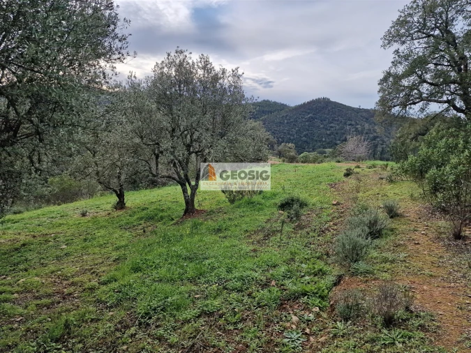 Quinta T2 para Venda em São Barnabe Foto 15