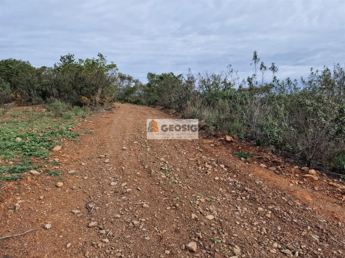 Quinta T2 para Venda em São Barnabe Foto 13