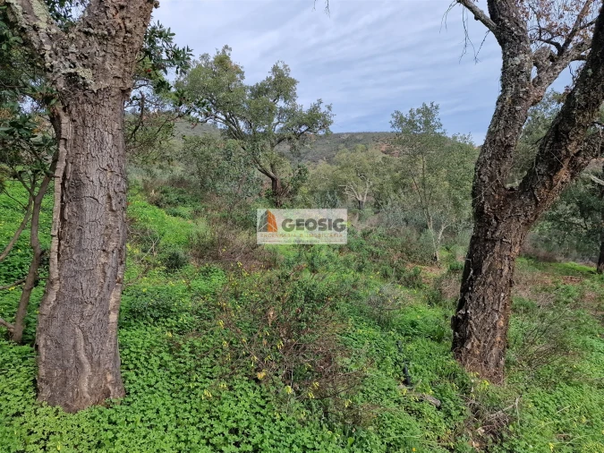 Quinta T2 para Venda em São Barnabe Foto 18