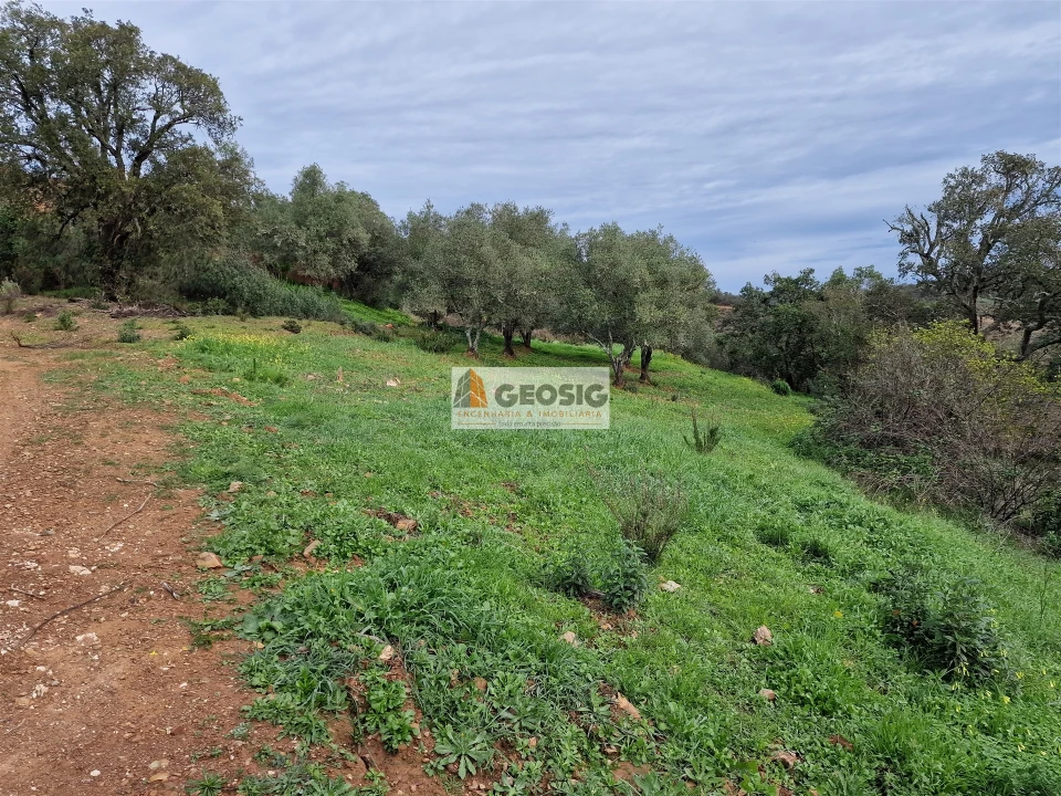 Quinta T2 para Venda em São Barnabe Foto 14