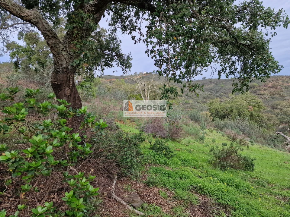 Quinta T2 para Venda em São Barnabe Foto 21