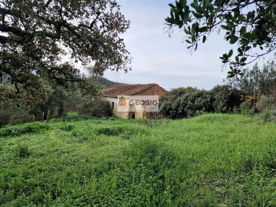 Quinta T2 para Venda em São Barnabe Foto 12