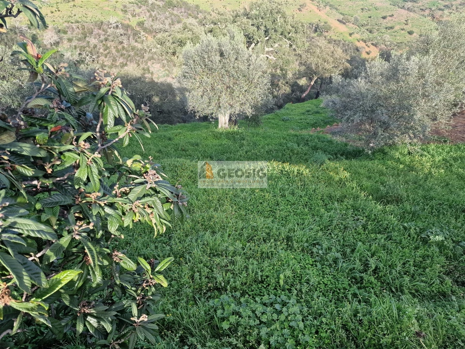 Moradia T2 para Venda em Santa Cruz Foto 15