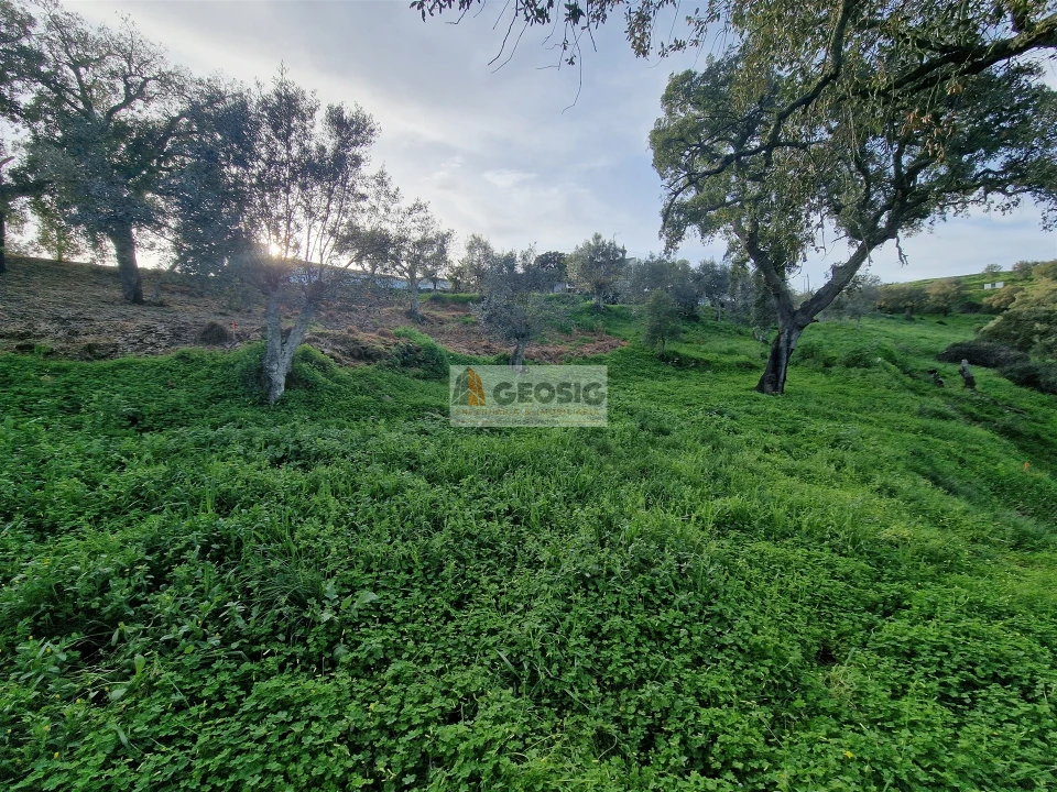 Moradia T2 para Venda em Santa Cruz Foto 21