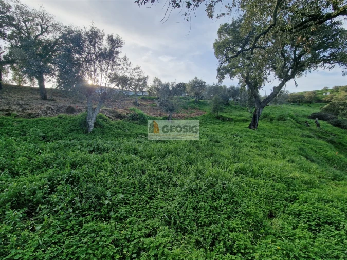 Moradia T2 para Venda em Santa Cruz Foto 21