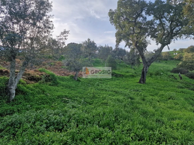 Moradia T2 para Venda em Santa Cruz Foto 20