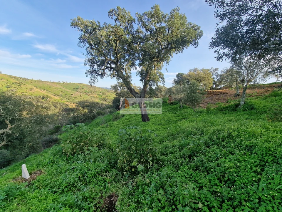 Moradia T2 para Venda em Santa Cruz Foto 18