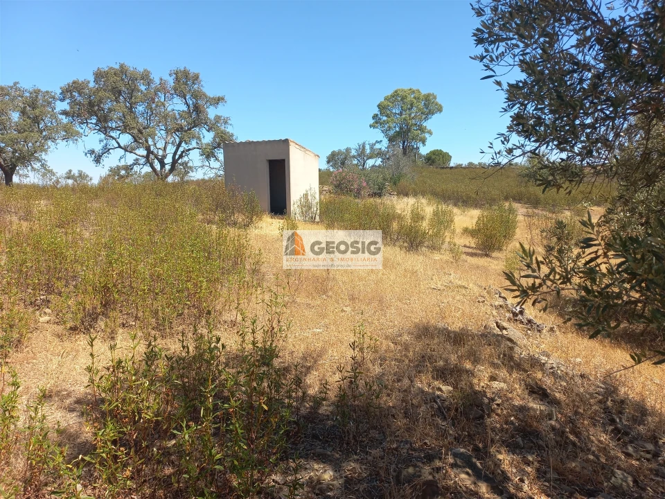 Quinta T0 para Venda em Santa Clara-A-Nova e Gomes Aires Foto 17