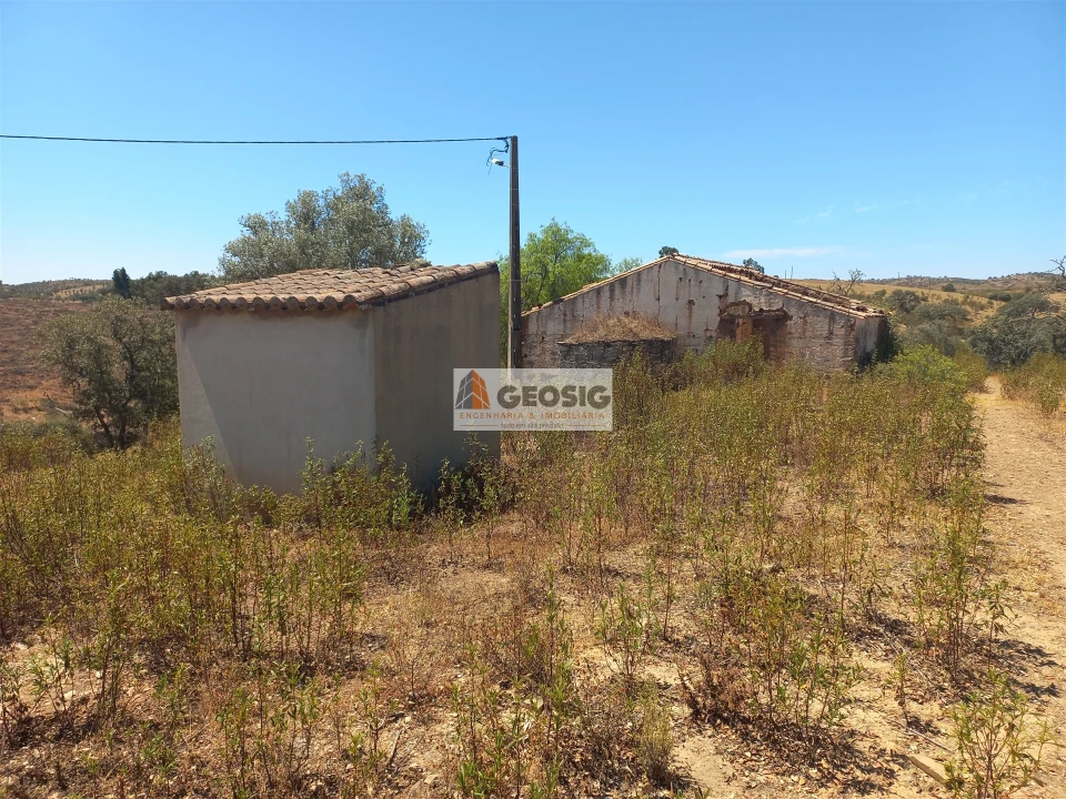 Quinta T0 para Venda em Santa Clara-A-Nova e Gomes Aires Foto 5