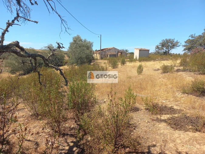 Quinta T0 para Venda em Santa Clara-A-Nova e Gomes Aires Foto 23