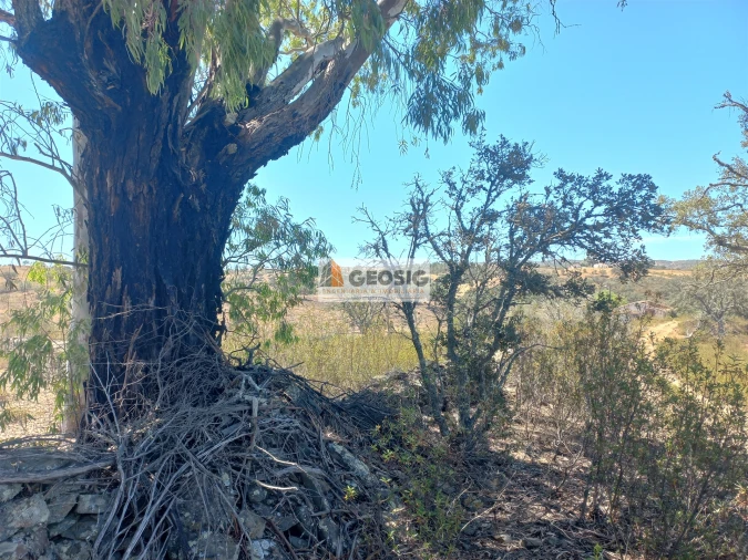 Quinta T0 para Venda em Santa Clara-A-Nova e Gomes Aires Foto 18