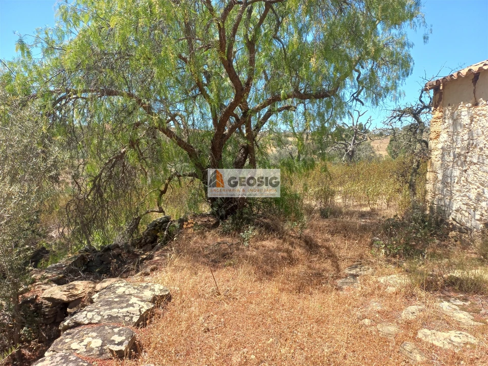 Quinta T0 para Venda em Santa Clara-A-Nova e Gomes Aires Foto 16