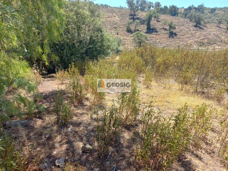 Quinta T0 para Venda em Santa Clara-A-Nova e Gomes Aires Foto 20