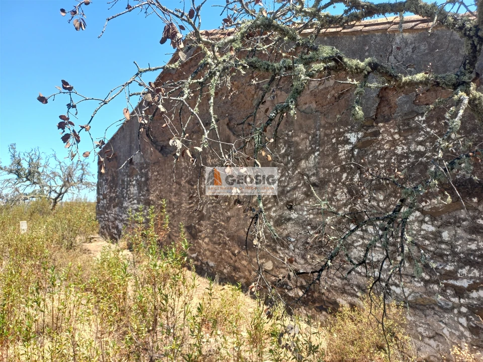 Quinta T0 para Venda em Santa Clara-A-Nova e Gomes Aires Foto 10