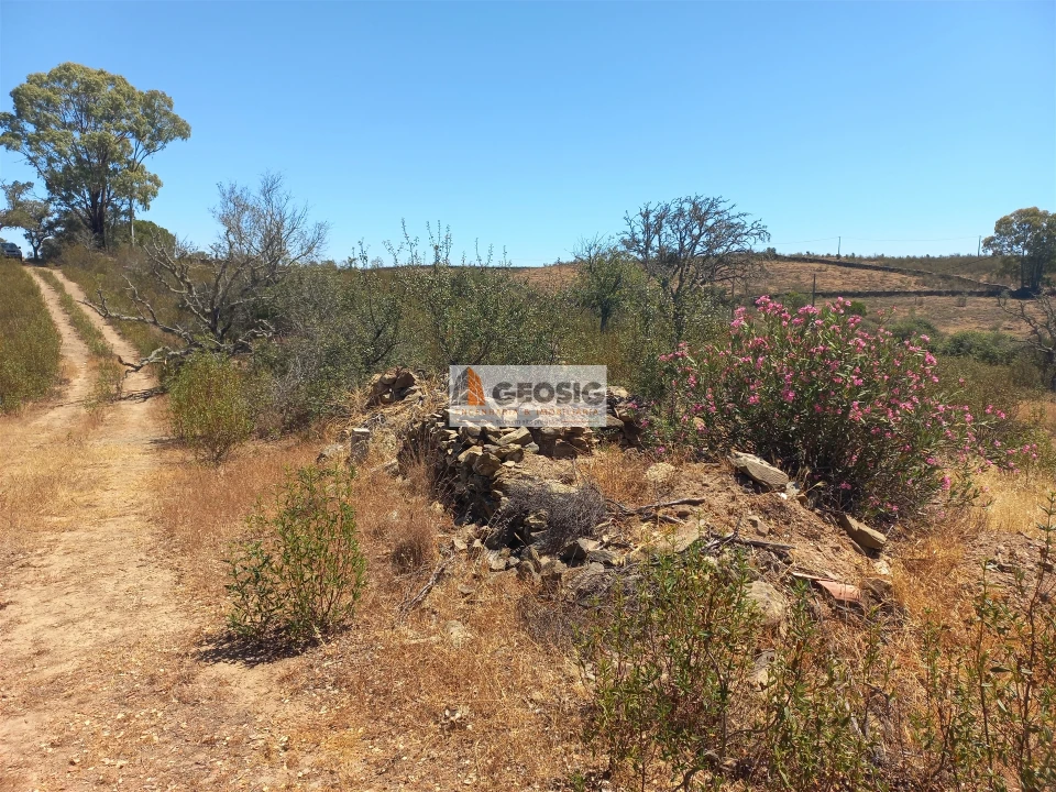 Quinta T0 para Venda em Santa Clara-A-Nova e Gomes Aires Foto 19