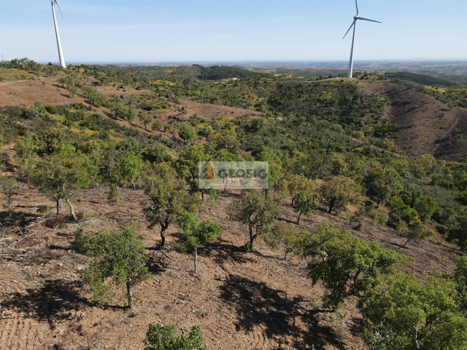 Terreno Agricola ou Rústico para Venda em Almodôvar e Graça dos Padrões Foto 3