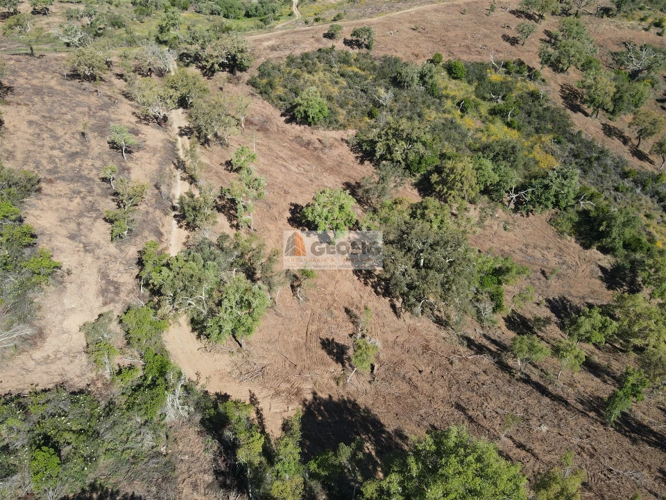 Terreno Agricola ou Rústico para Venda em Almodôvar e Graça dos Padrões Foto 5