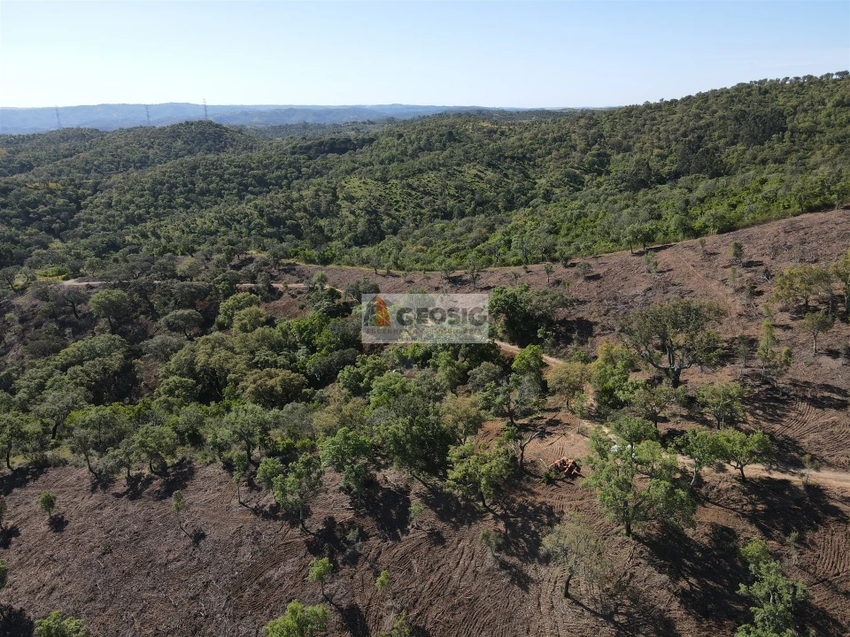 Terreno Agricola ou Rústico para Venda em Almodôvar e Graça dos Padrões Foto 2