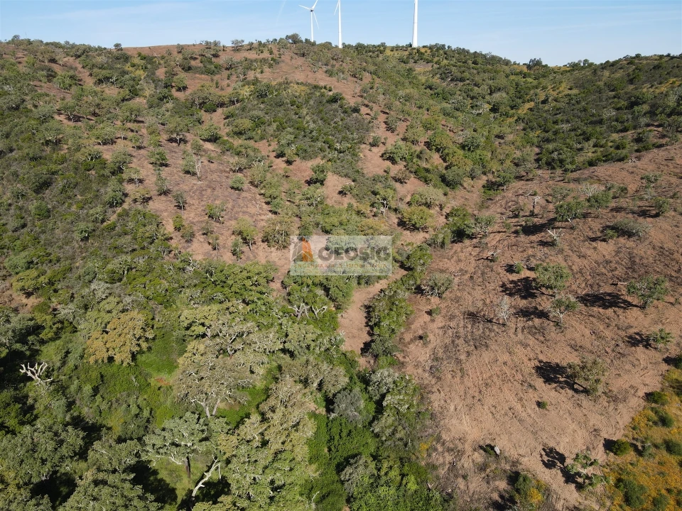 Terreno Agricola ou Rústico para Venda em Almodôvar e Graça dos Padrões Foto 8