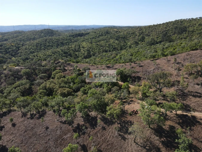 Terreno Agricola ou Rústico para Venda em Almodôvar e Graça dos Padrões Foto 2