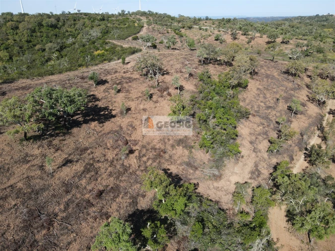 Terreno Agricola ou Rústico para Venda em Almodôvar e Graça dos Padrões Foto 6
