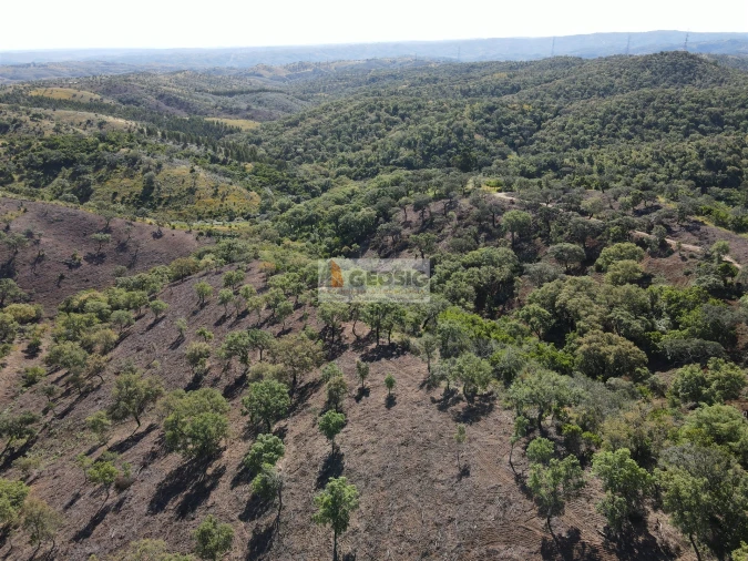 Terreno Agricola ou Rústico para Venda em Almodôvar e Graça dos Padrões Foto 7