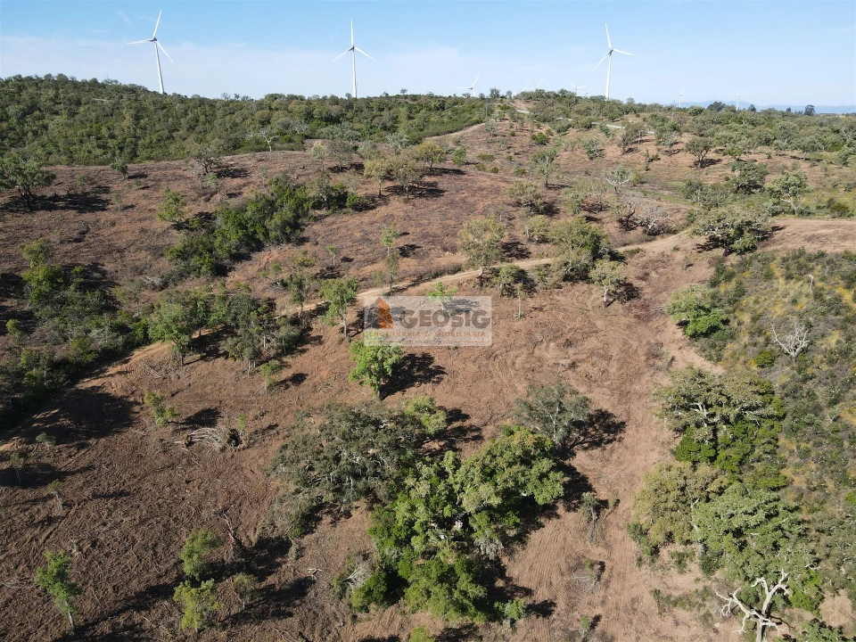 Terreno Agricola ou Rústico para Venda em Almodôvar e Graça dos Padrões Foto 1
